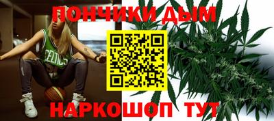 шишки Аша