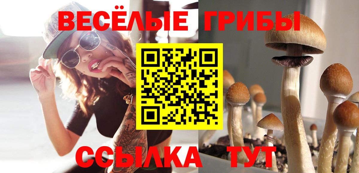 Галлюциногенные грибы ЛСД  Вход с VPN  Карачаевск 